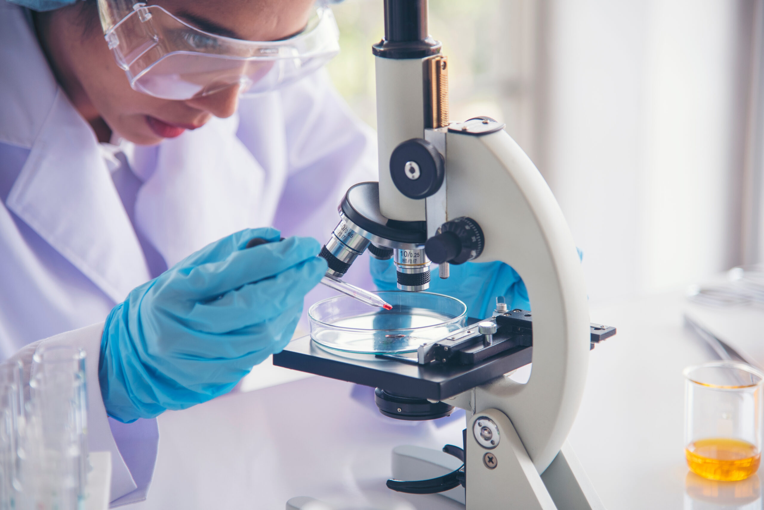 Woman scientist in lab look at science microscope medical test a b look at science microscope medical test and research biology chemistry.